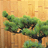 我愛(ài)3D